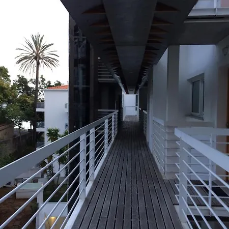Amelia Funchal (Madeira)